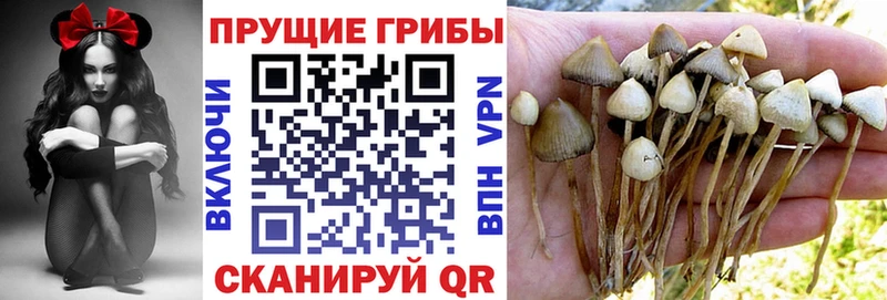 Псилоцибиновые грибы Cubensis  ссылка на мегу tor  Бологое 