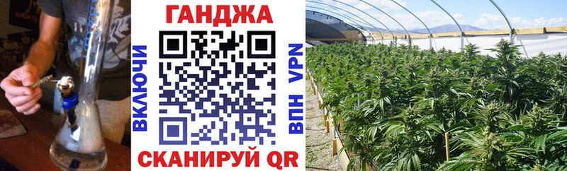Конопля план  Бологое 